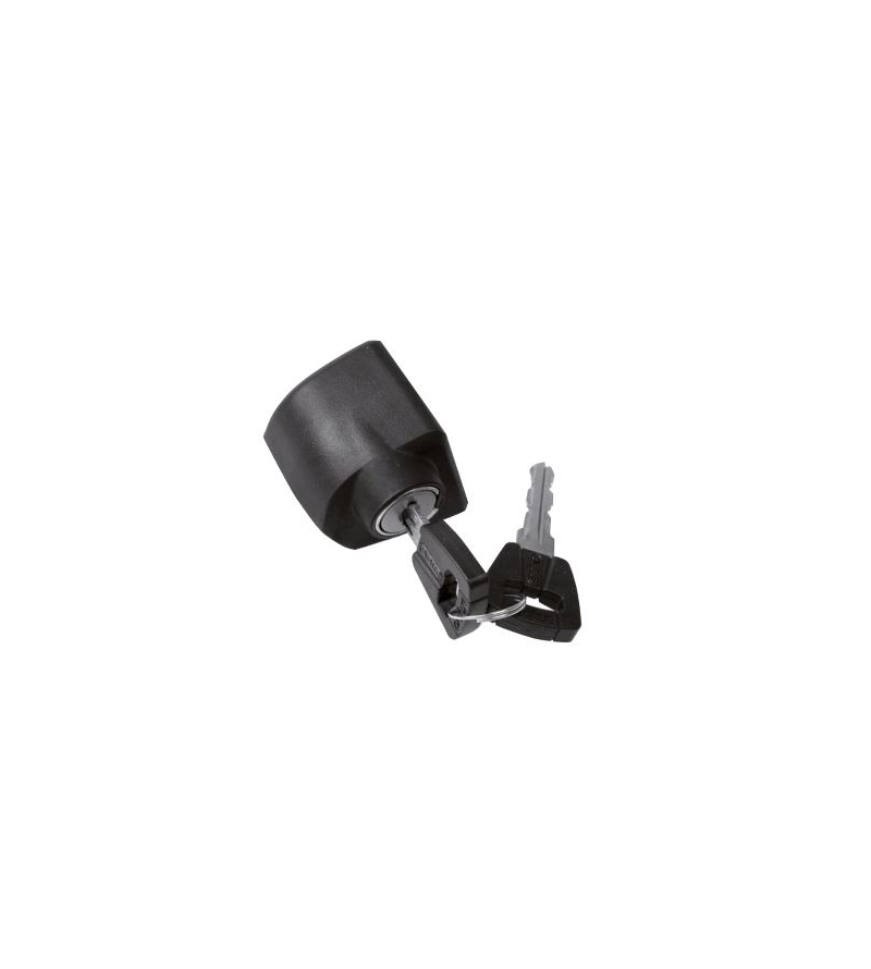 BOSCH CILINDRO STANDARD PER BATTERIA