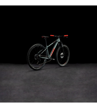CUBE ANALOG 2023 FLASHGREY' N' RED