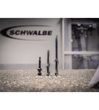 SCHWALBE VALVOLA TUBELESS...