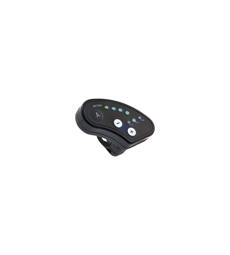 ANSMANN DISPLAY LED 100 LUCE VERDE 36V