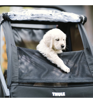 THULE COURIER 2 AEGEAN BLUE