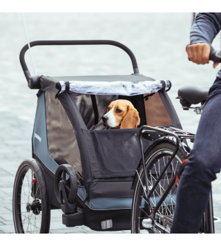 THULE COURIER AEGEAN BLUE
