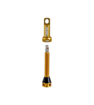 VAG COPPIA VALVOLE TUBELESS 44mm ORO