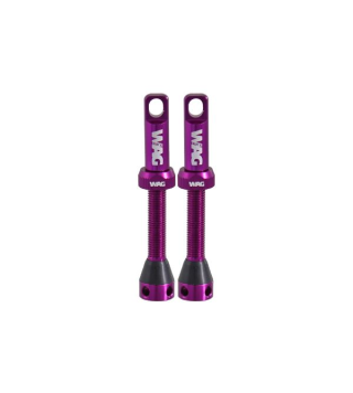 VAG COPPIA VALVOLE TUBELESS...