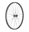 DTSWISS RUOTA ANTERIORE H1900 29 15X110 30 6 FORI