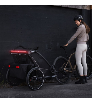 THULE CHARIOT SPORT 2 SINGLE NATURAL GOLD