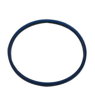 FSA O-RINF PER MEGAEXO...